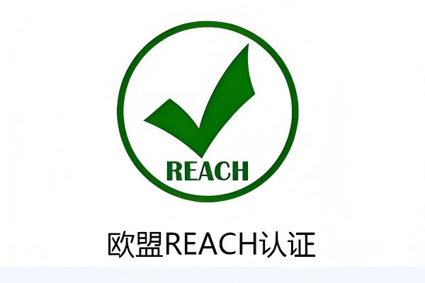 2026出口贸易REACH检测常见问题解答